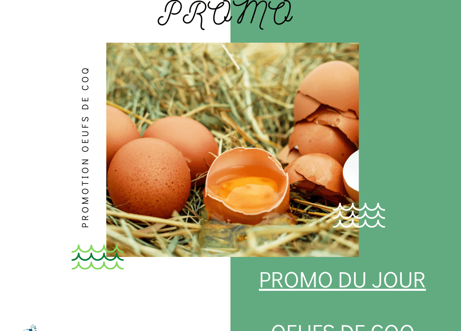 Promo du jour : Oeufs de Coq