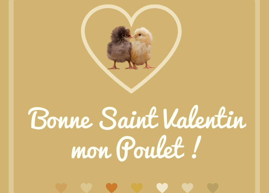 Bonne Saint-Valentin mon poulet