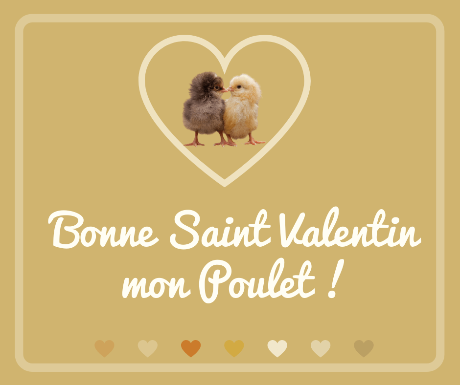 Saint Valentin Journée Facebook publication